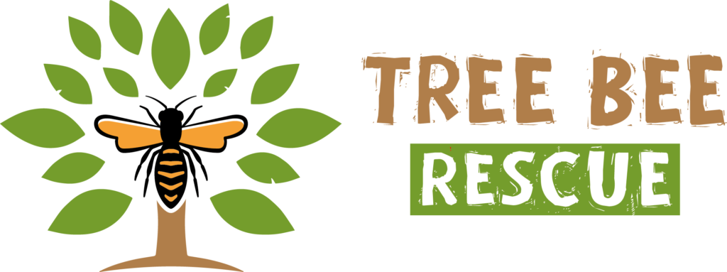 Tree Bee Rescue